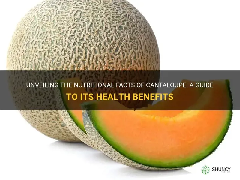 Unveiling The Nutritional Facts Of Cantaloupe A Guide To Its Health