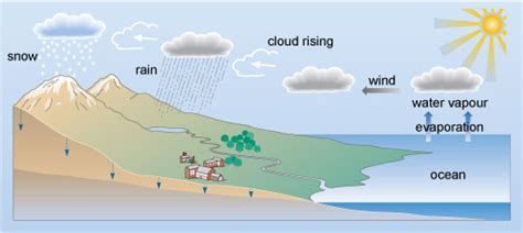 What Chemical Compounds Might Be Present In Drinking Water 1 1 The Water Cycle And Drinking