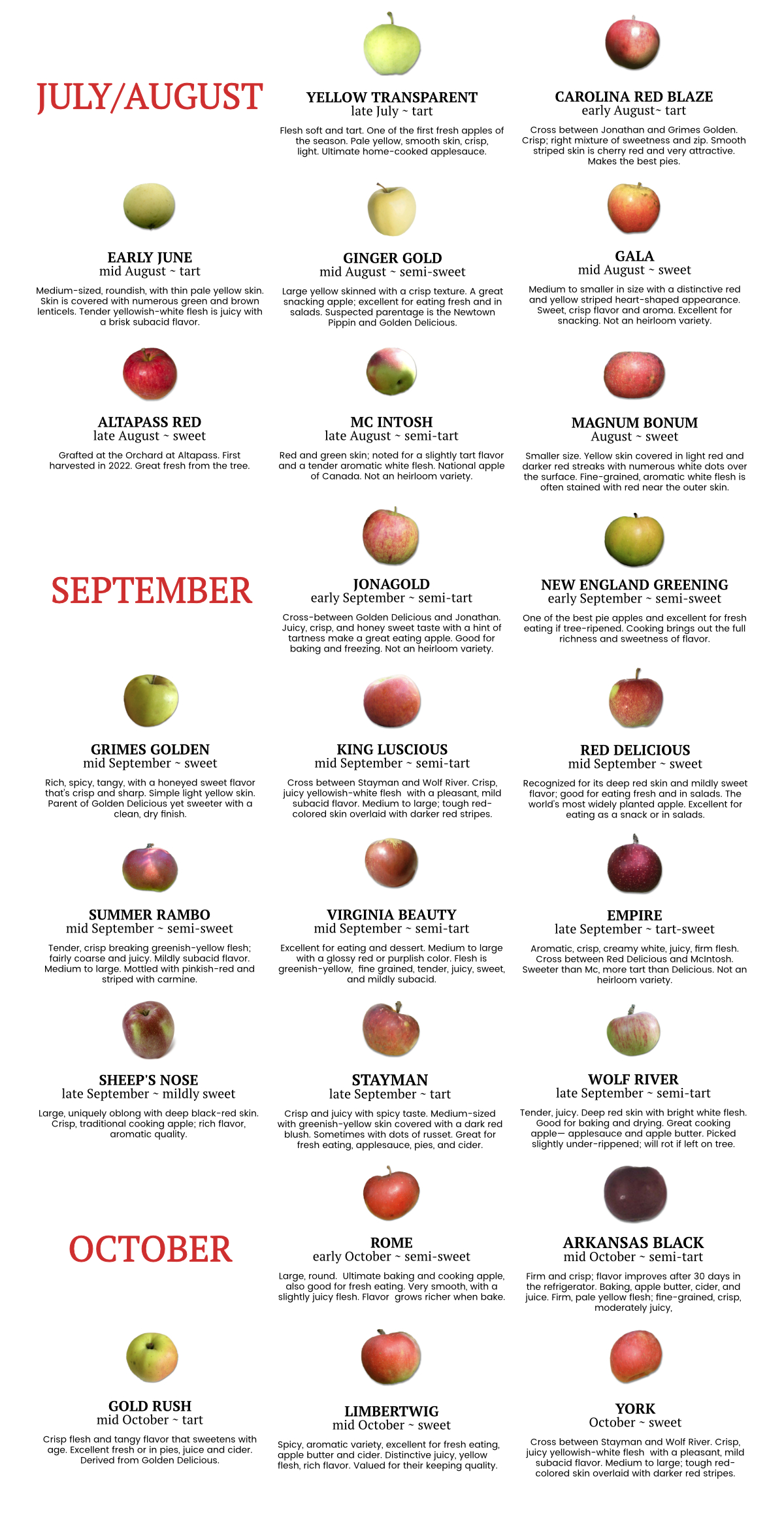 What Is America Amp 39 S Favorite Apple Variety Infographic Apple Varieties Apple Apple Carbs