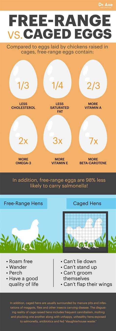 When To Limit 1 Egg? Heart Health