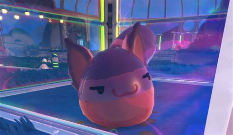 Where To Find Ringtail Slimes In Slime Rancher 2 Prima Games