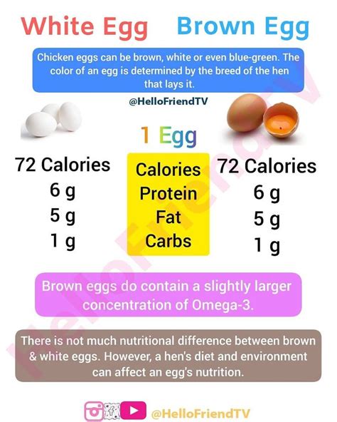 White Eggs Vs Brown Eggs Egg Nutrition Brown Eggs Nutrition Tips