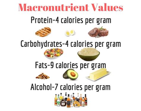 Why Calories In Steel Vary? Factors Explained