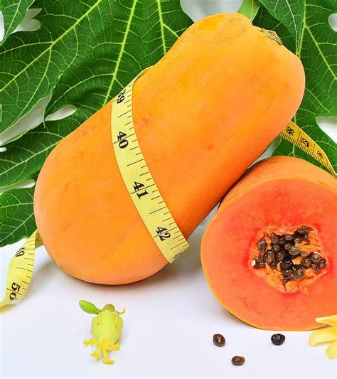 Why Choose Papaya For Weight Management? A Healthy Calorie Approach