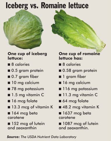 Why Eat Romaine Hearts Daily? Nutrition Advice