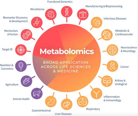 Your Guide To Metabolomics The Importance Of Metabolomics Insights Metabolon