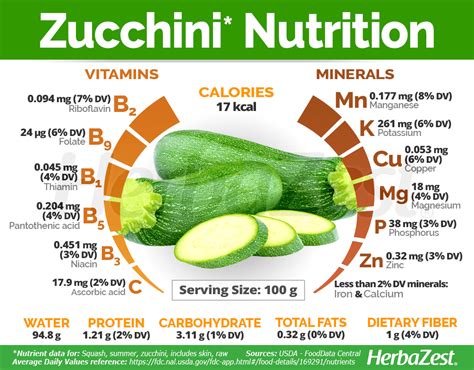 Zucchini Nutrition: Boosts Energy